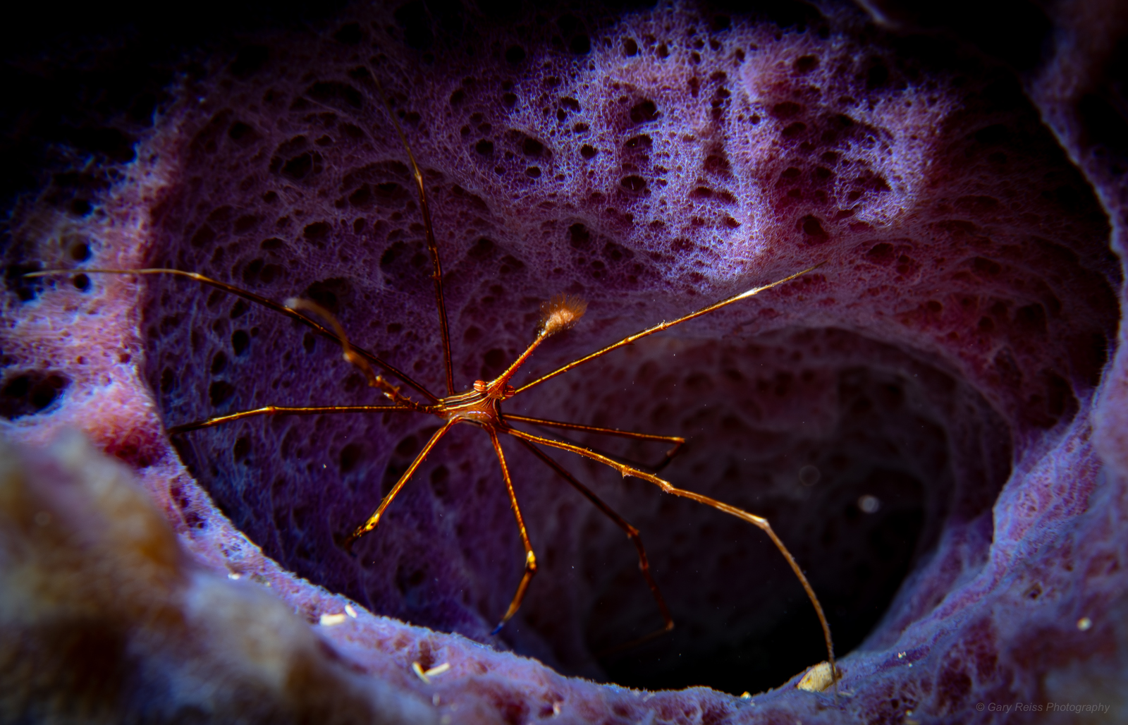 Travel photography print by Gary Reiss